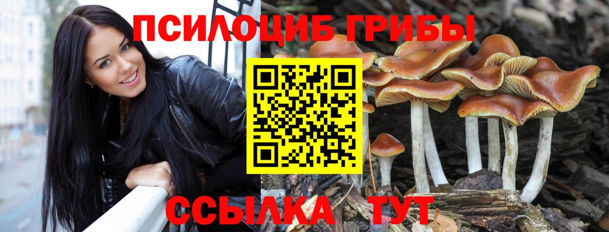 Ставрополь  Галлюциногенные грибы Psilocybine cubensis  Вход с VPN  Псилоцибиновые грибы Cubensis 